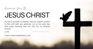 Who Is the Holy Spirit?